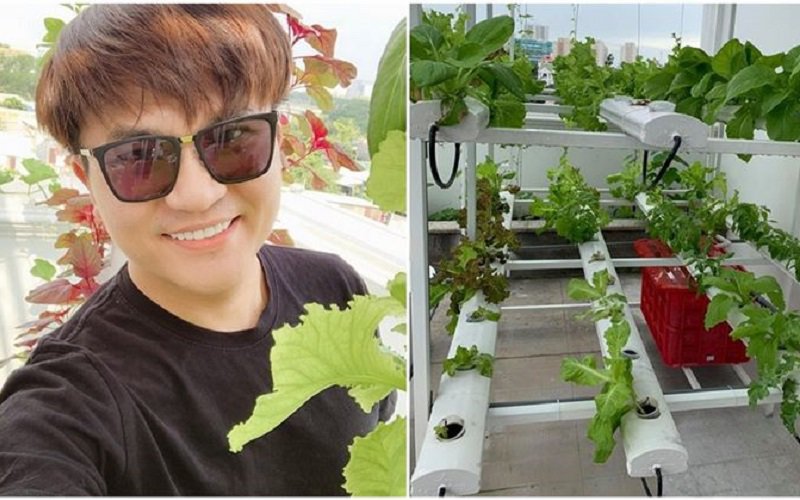 Là một MC đắt show, bận rộn công việc, thường xuyên đi từ thiện nhưng MC Đại Nghĩa vẫn dành thời gian chăm sóc vườn rau của mình để có thực phẩm sạch cho cả nhà.
