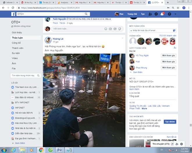 Thực hư thông tin amp;#34;Hải Phòng trời mưa, thiên nga bơi lạc ra Nhà hát lớnamp;#34; - 1
