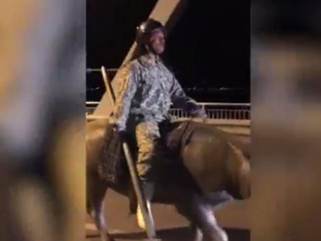 Trương Phi Việt Nam xuất hiện, cưỡi trâu hùng dũng đi trên cầu Bến Thủy