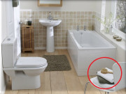 Nhà đẹp - Đặt 4 thứ này trong nhà tắm, người Việt đang tự nuôi ổ vi khuẩn trong nhà mà không biết