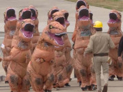 Clip Eva - Không thể nhịn cười với dàn khủng long bạo chúa tham gia "Cuộc đua kỳ thú"