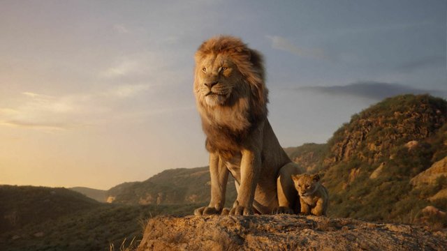 79+ hình ảnh con sư tử đẹp, cực ngầu ảnh chuẩn HD miễn phí - ALONGWALKER
