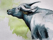 Eva tám - 3 con giáp khó khăn chỉ là tạm thời, sau 40 tuổi giàu nứt đố đổ vách