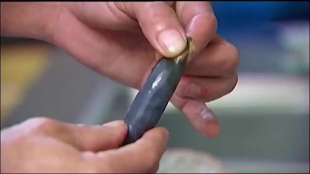 bo phan nay cua ca rat doc hai, tot nhat khong ai nen an keo ruoc benh - 3