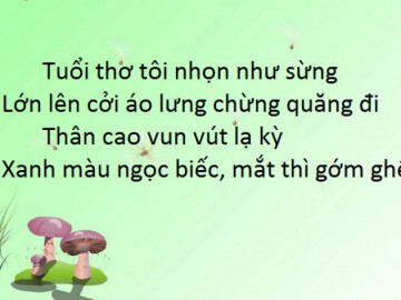 5 câu đố khiến người vắt não nghĩ không ra, người trả lời ngay tức khắc