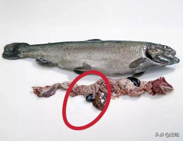 Chuyên gia tiết lộ 6 bộ phận trên động vật không nên ăn, có loại còn gây mất mạng - 6