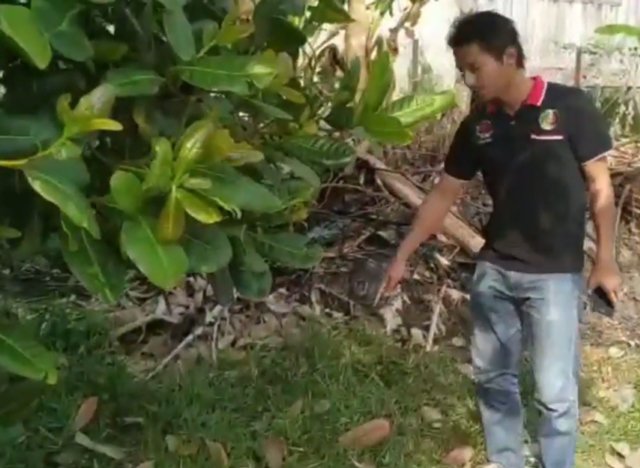 thay chu meo dot nhien chay vao bui cay roi keu gao, nguoi dan ong phat hien kinh hoang - 1
