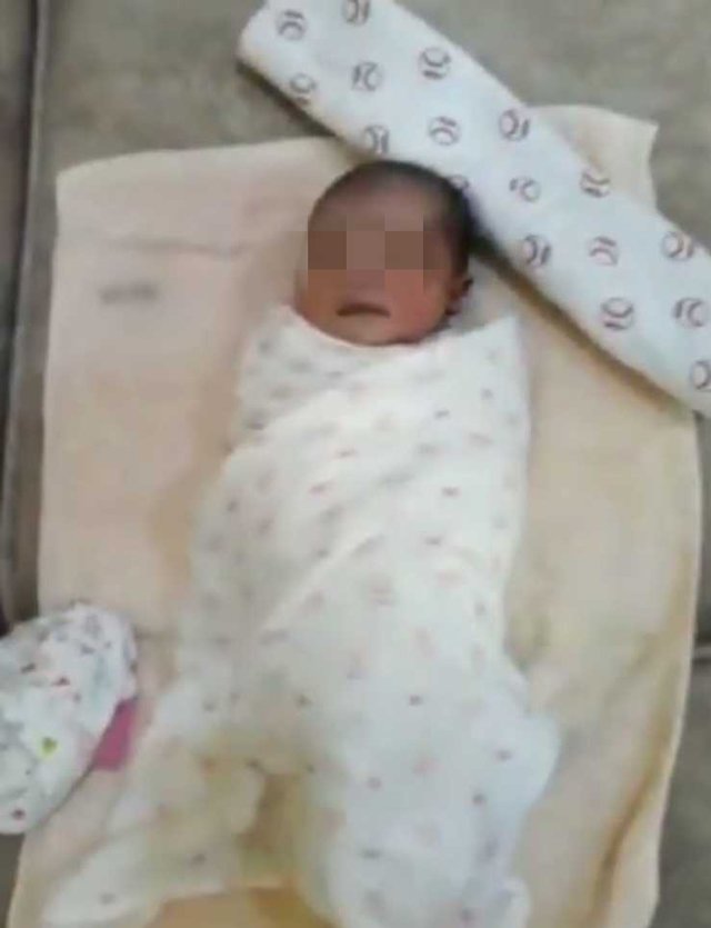 thay chu meo dot nhien chay vao bui cay roi keu gao, nguoi dan ong phat hien kinh hoang - 4