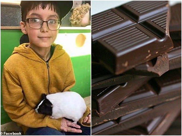 Cậu bé 11 tuổi bất ngờ qua đời vì dị ứng với sữa trong thanh socola