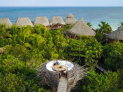 Lifestyle - Khu resort tổ chim độc đáo khiến du khách không thể rời mắt khi ngắm nhìn