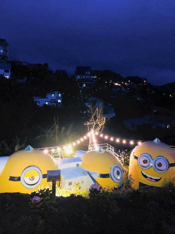 xuat hien khu homestay minion khong lo tai da lat khien gioi tre nhiet tinh toi check-in - 5
