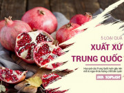 Sức khỏe - 5 loại quả có xuất xứ từ Trung Quốc, người ăn phải cẩn thận dư lượng chất bảo quản
