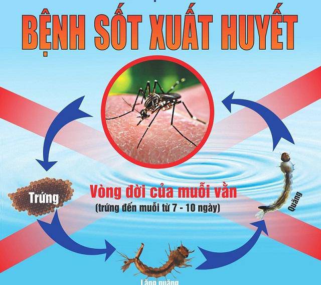 hai be tay nguyen qua doi vi sot xuat huyet: bac si nhi chi dau hieu nhan biet ro nhat - 1
