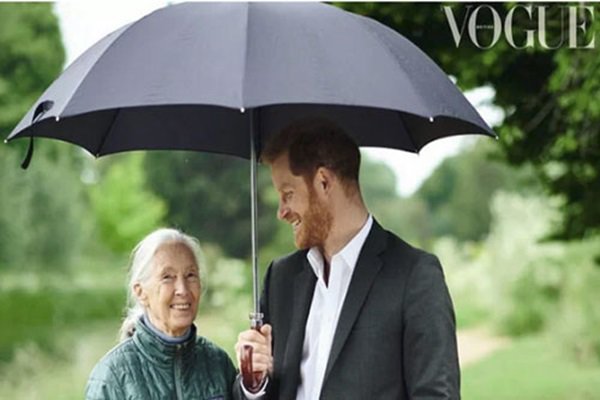 Hoàng tử Harry tuyên bố chỉ sinh 2 con để cứu lấy hành tinh nhằm amp;#34;đá đểuamp;#34; anh trai William? - 1