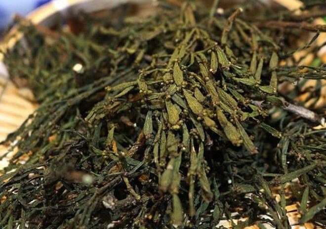 amp;#34;Càng cuaamp;#34; ký sinh trên cây, giá hơn 6 triệu đồng/kg - 3