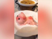 Clip Eva - Gặp phải món ăn dễ thương thế này, nào ai nỡ đưa vào miệng?