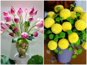 Nhà đẹp - Sáng cô hồn đặt thứ này trên bàn thờ,  tối may mắn gõ cửa, tiền bạc ùn ùn kéo đến