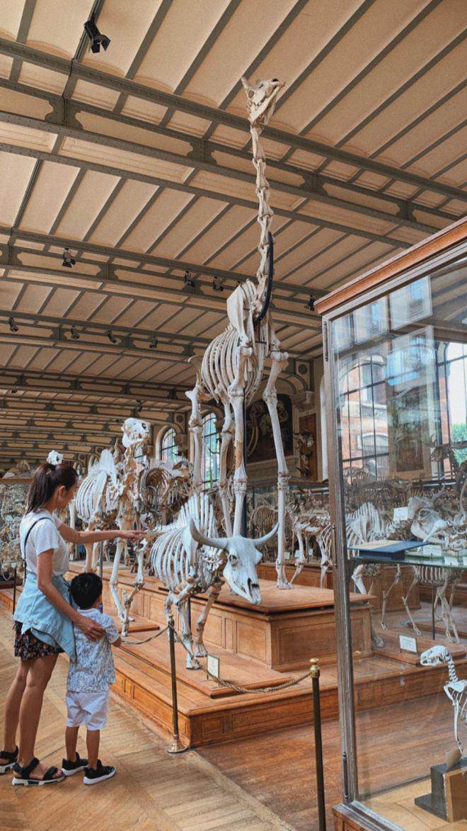 Gần đây Tăng Thanh Hà liên tục khoe con gái nhưng lại amp;#34;xếp xóamp;#34; con trai? - 4