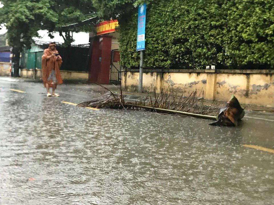 Bão số 3 đổ bộ, tại Hà Nội nhiều tuyến đường ngập nước, gió lớn quật cây cối ngổn ngang - 3