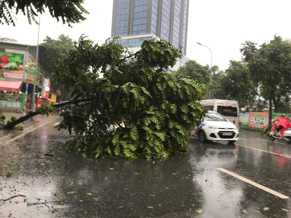 Bão số 3 đổ bộ, tại Hà Nội nhiều tuyến đường ngập nước, gió lớn quật cây cối ngổn ngang - 4
