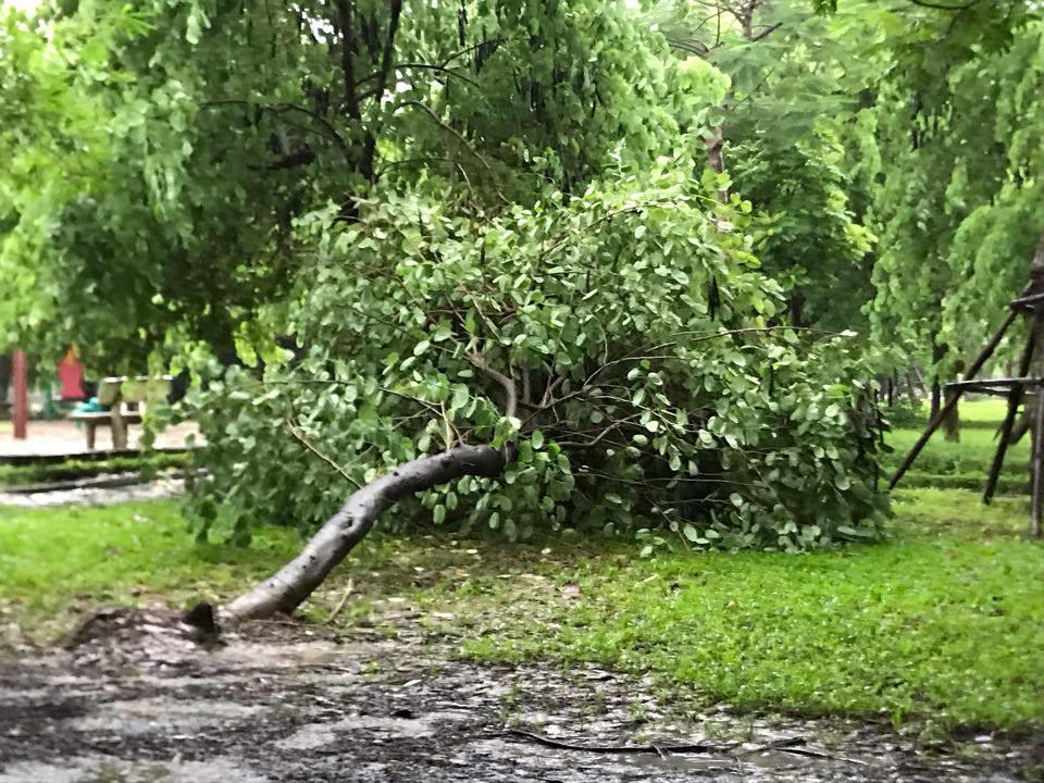 Bão số 3 đổ bộ, tại Hà Nội nhiều tuyến đường ngập nước, gió lớn quật cây cối ngổn ngang - 5