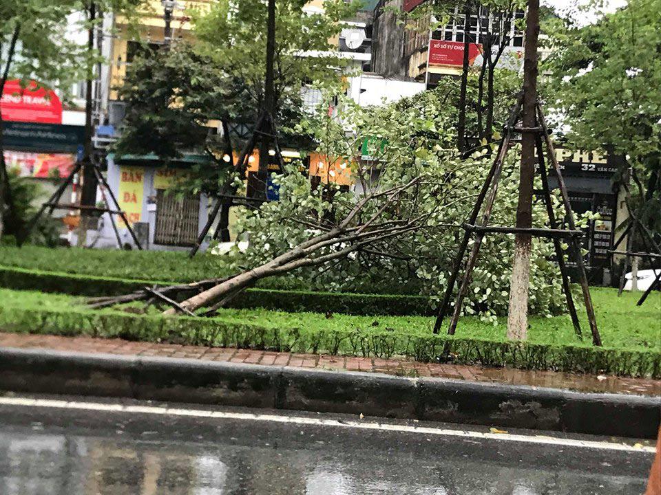 Bão số 3 đổ bộ, tại Hà Nội nhiều tuyến đường ngập nước, gió lớn quật cây cối ngổn ngang - 6