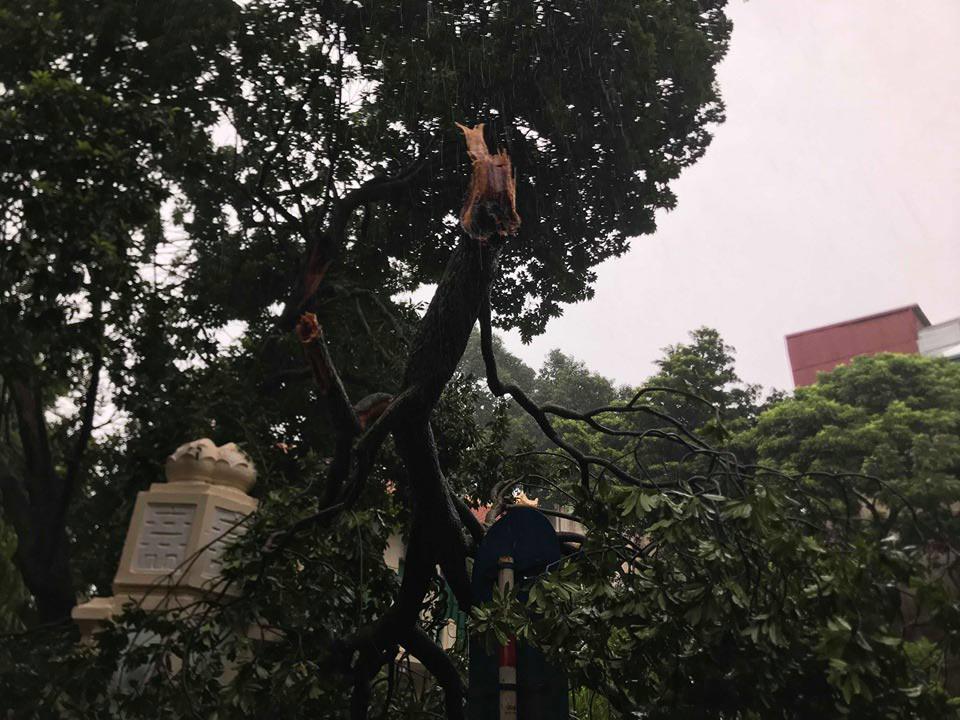 Bão số 3 đổ bộ, tại Hà Nội nhiều tuyến đường ngập nước, gió lớn quật cây cối ngổn ngang - 7