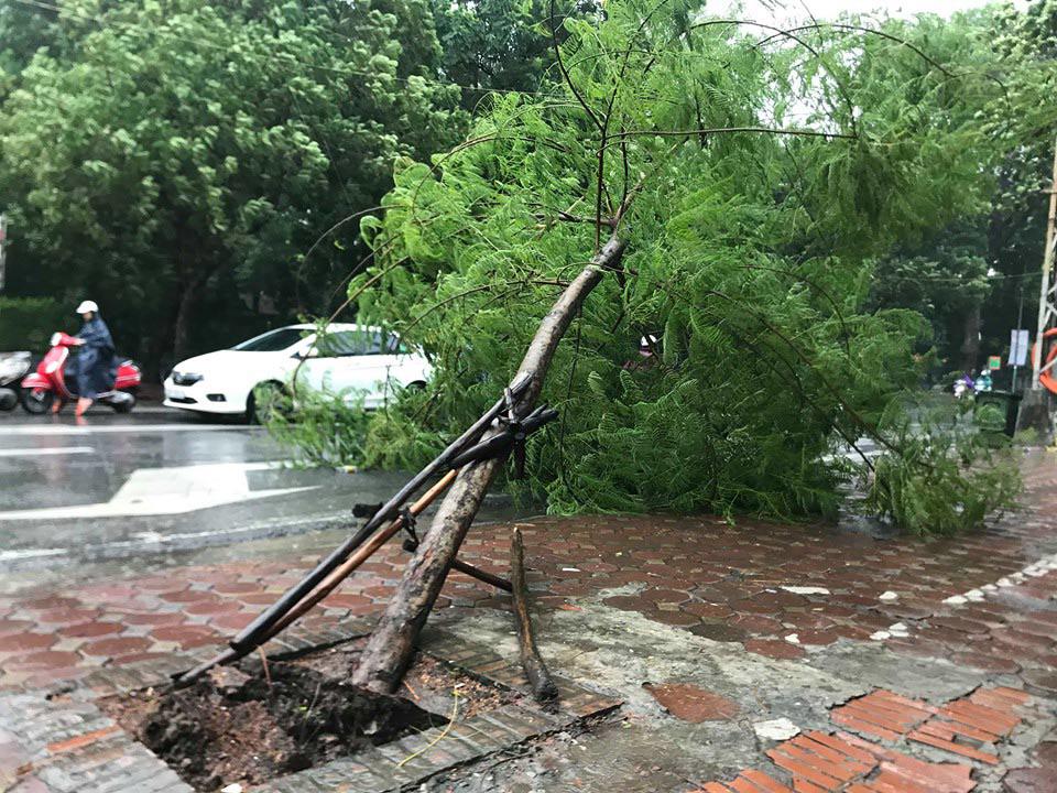 Bão số 3 đổ bộ, tại Hà Nội nhiều tuyến đường ngập nước, gió lớn quật cây cối ngổn ngang - 8