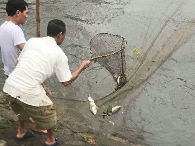 Người dân Hà Nội hì hục tát nước ngập vào nhà, ra sông Kim Ngưu vớt hàng chục kg cá - 1