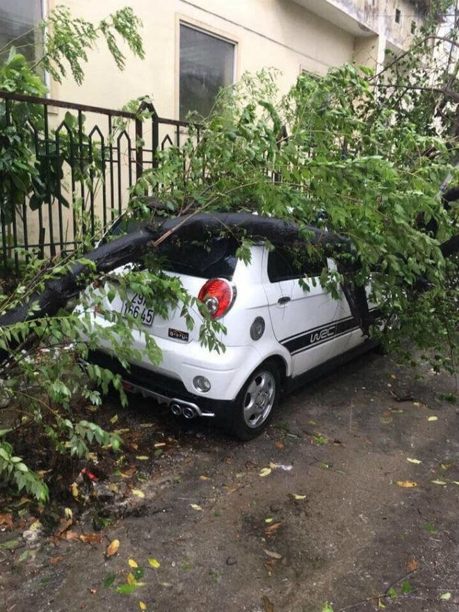 Người dân Hà Nội hì hục tát nước ngập vào nhà, ra sông Kim Ngưu vớt hàng chục kg cá - 6