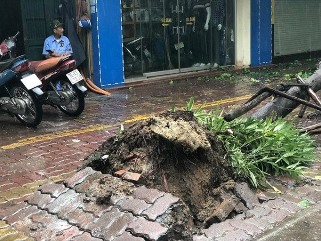 Người dân Hà Nội hì hục tát nước ngập vào nhà, ra sông Kim Ngưu vớt hàng chục kg cá - 7