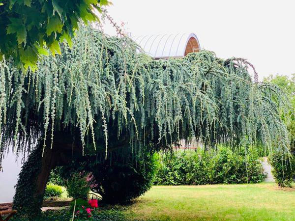 “Theo chồng bỏ cuộc chơi” ca sĩ Mỹ Lệ giàu có, bình yên trong nhà 1000m2 đẹp “líu lưỡi” - 6