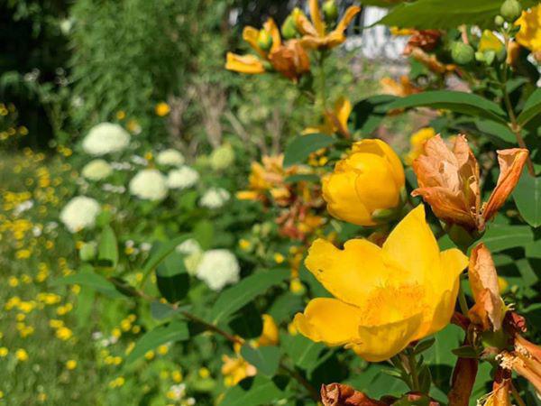 “Theo chồng bỏ cuộc chơi” ca sĩ Mỹ Lệ giàu có, bình yên trong nhà 1000m2 đẹp “líu lưỡi” - 7