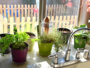 Nhà đẹp - Đúng 0 giờ đặt thứ này trong nhà bếp, cả ngày chỉ ngồi rung đùi đếm tiền mỏi tay