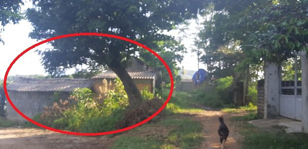 Bé gái bị hàng xóm xâm hại có bầu 5 tháng: amp;#34;Cháu chỉ thấy béo lên, không biết có bầuamp;#34; - 3