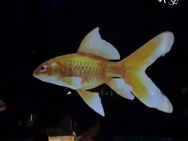 Rạp xiếc sử dụng động vật ảo để biểu diễn cực hút khách ở Đức