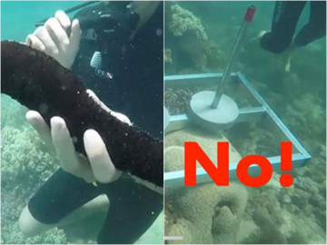 Cựu Quán quân bức xúc, BTC Cuộc Đua Kỳ Thú lên tiếng khi bị chỉ trích thiếu ý thức