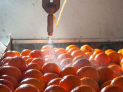 Bếp Eva - 6 cách chế biến thực phẩm ai cũng nghĩ là nguy hiểm nhưng sự thật thì khác xa