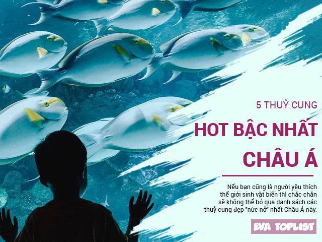 Sáng mắt với 5 thuỷ cung hot bậc nhất châu Á, sở hữu cả tấn kỷ lục Guinness Thế giới