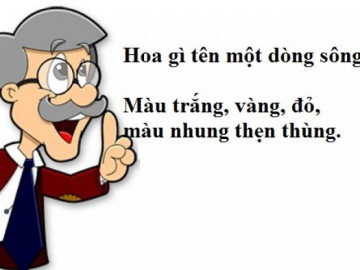 5 câu đố gây toát mồ hôi hột nhưng người thông minh chớp mắt là xong!