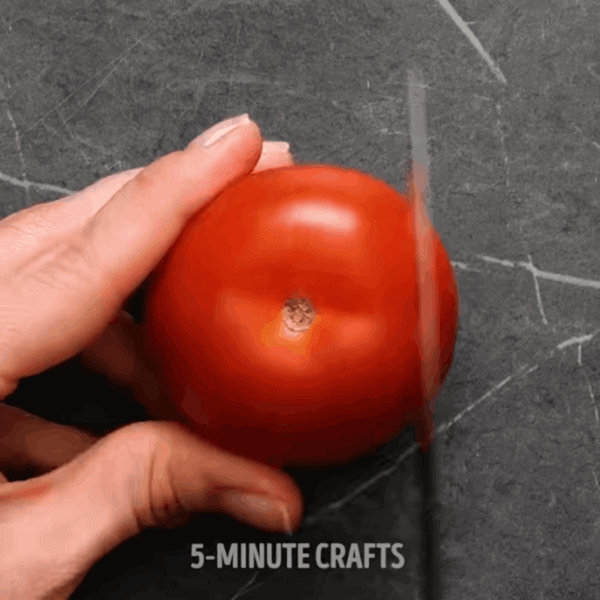 Bố trẻ mang hạt dưa hấu đùm trong giấy ăn, con gái bất ngờ thấy sự lạ sau 4 đêm - 4