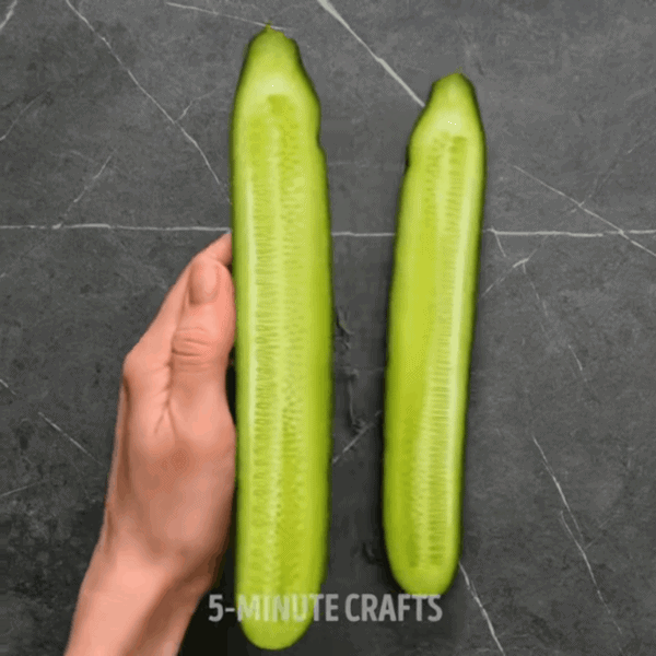 Bố trẻ mang hạt dưa hấu đùm trong giấy ăn, con gái bất ngờ thấy sự lạ sau 4 đêm - 7