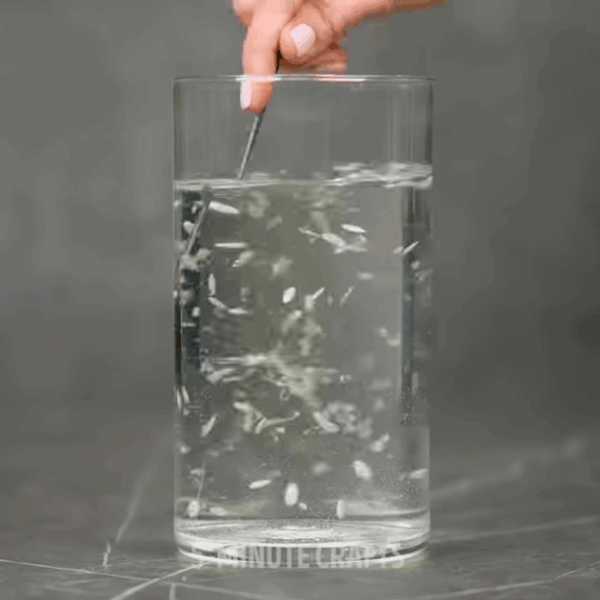 Bố trẻ mang hạt dưa hấu đùm trong giấy ăn, con gái bất ngờ thấy sự lạ sau 4 đêm - 8