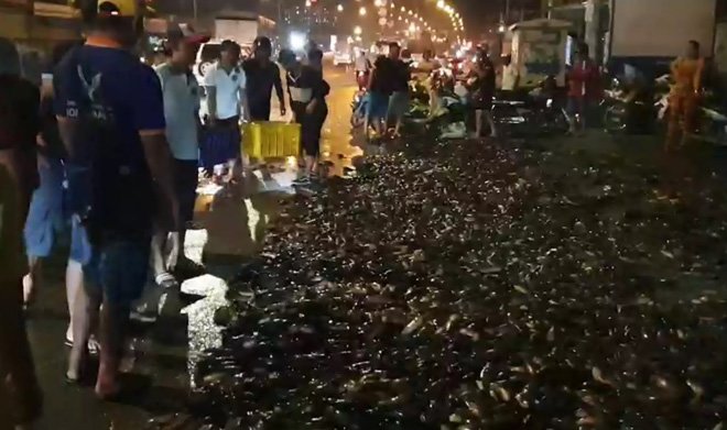 Cá đổ ngập đường phố Sài Gòn khi xe lật, nhiều người có hành động lạ - 2