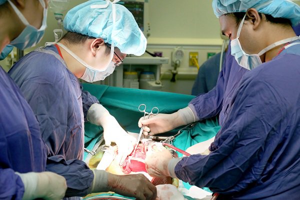 Thanh niên 20 tuổi hồi sinh sự sống cho 5 người xa lạ trước khi qua đời vì tai nạn - 1