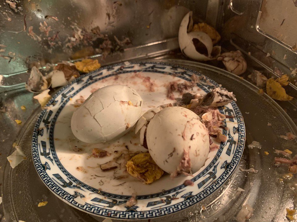 Em chồng than đói, chị dâu nhiệt tình cho trứng vào lò vi sóng và thành quả hết hồn - 2