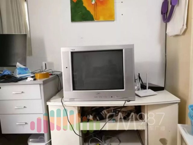 Tivi phát ra tiếng ồn dù không cắm điện, vợ chồng son phát hiện bí mật của người thuê trước - 2