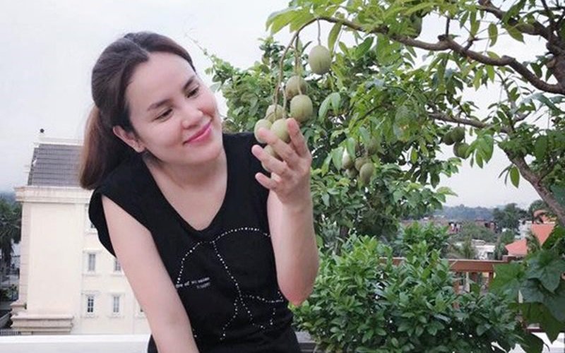 Phương Lê tiết lộ, hầu hết những cây ăn quả như cóc, ổi, xoài... được cô bứng cả gốc từ quê nhà ở Trà Vinh lên Sài Gòn trồng.
