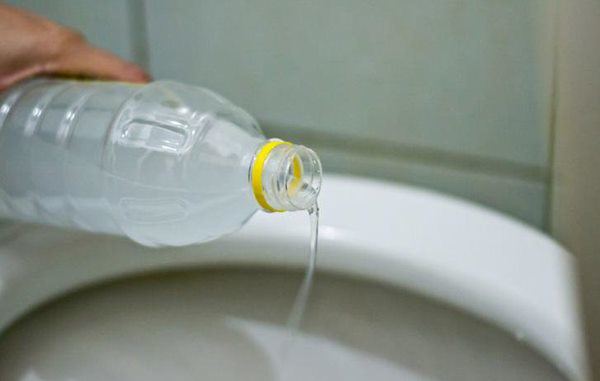 Mang giấm đổ vào nhà vệ sinh, tưởng phí của trời ai ngờ phát hiện “tuyệt chiêu” bất ngờ - 2