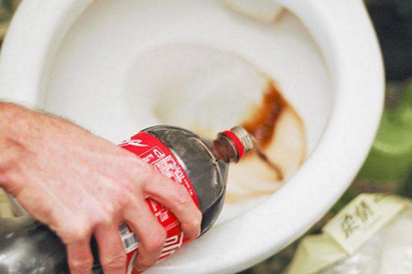 Mang giấm đổ vào nhà vệ sinh, tưởng phí của trời ai ngờ phát hiện “tuyệt chiêu” bất ngờ - 3